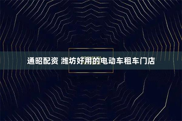 通昭配资 潍坊好用的电动车租车门店