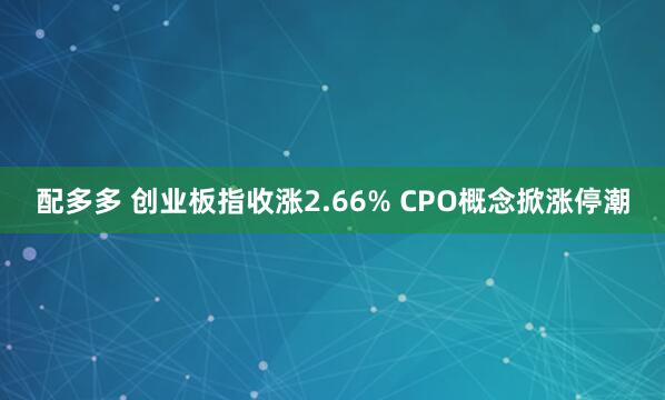 配多多 创业板指收涨2.66% CPO概念掀涨停潮