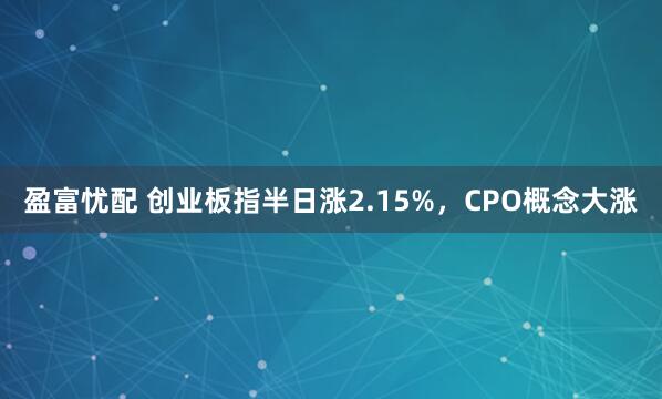 盈富忧配 创业板指半日涨2.15%，CPO概念大涨